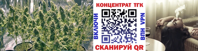 как найти наркотики  мега ссылки  Дистиллят ТГК жижа  Севастополь 