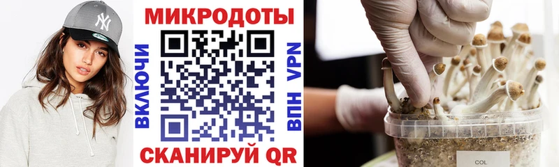 Галлюциногенные грибы мухоморы  Севастополь 