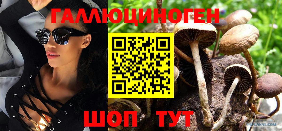 Севастополь  Псилоцибиновые грибы MAGIC MUSHROOMS  Вход с VPN 